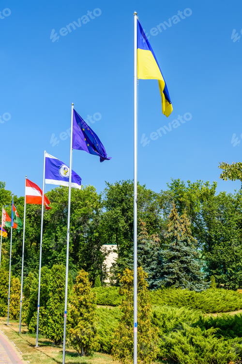 Preview: National Flags Of Different Countries In City Park Of Myrhorod, Ukraine
