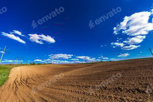 Preview: Green Field And Beautiful Sunset