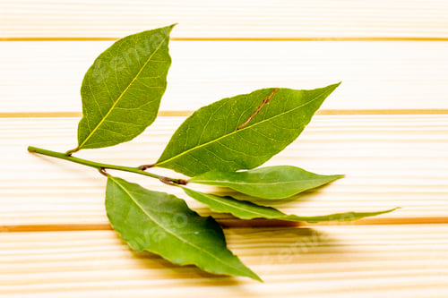 Preview: Fresh Bay Leaves On Wooden Background, Copy Space.