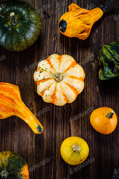 Preview: Pumpkins On Planks