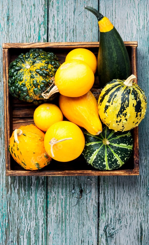 Preview: Autumn Still Life With Pumpkins On Wooden Background.Autumn Harvest.