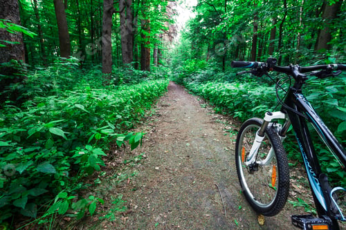 Preview: Mountain Biking Down Hill Descending Fast On Bicycle. View From Bikers Eyes.