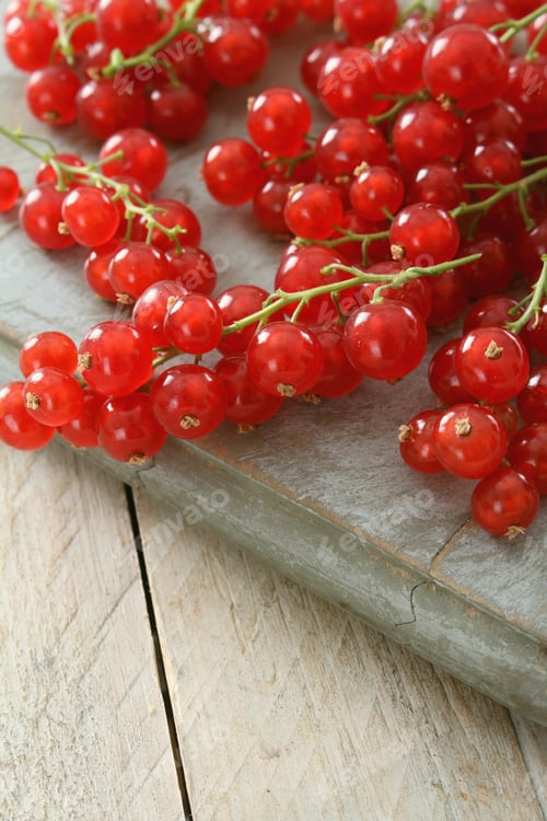 Preview: Fresh Redcurrants On Stalks