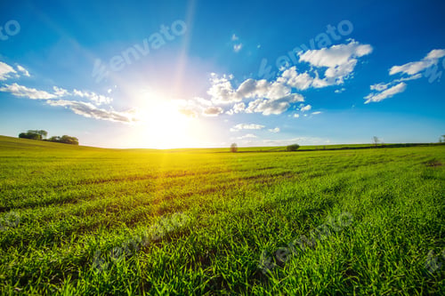Preview: Green Field And Beautiful Sunset