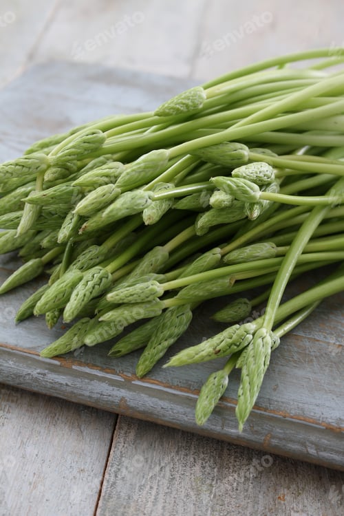 Preview: Preparing Wild Asparagus