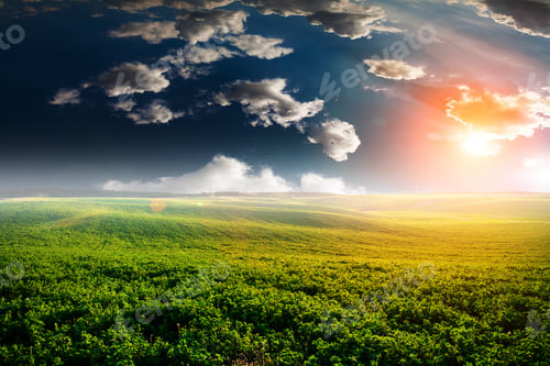 Preview: Green Field And Beautiful Sunset