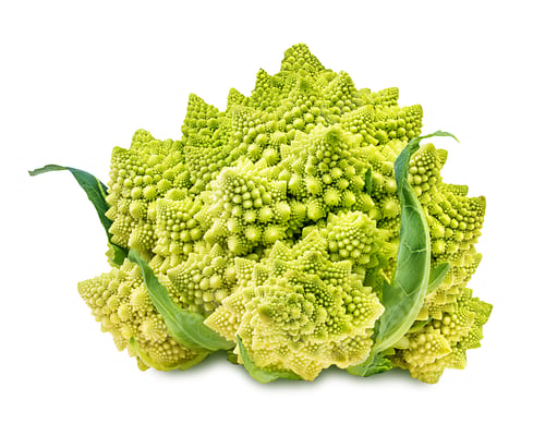 Preview: Romanesco Broccoli, Or Roman Cauliflower On The White Background