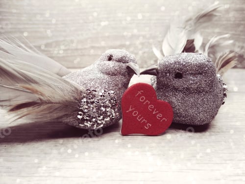 Preview: Two Birds Decor Love Valentine'S Day Present On Shiny Background