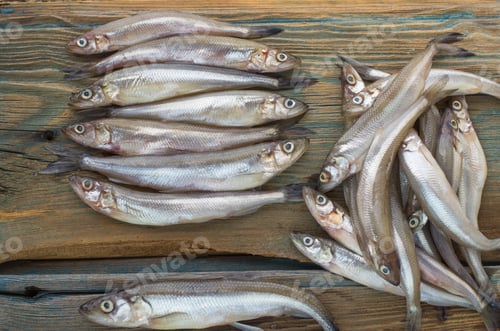 Preview: Freshly Caught Small Fish. Smelt On A Wooden Surface