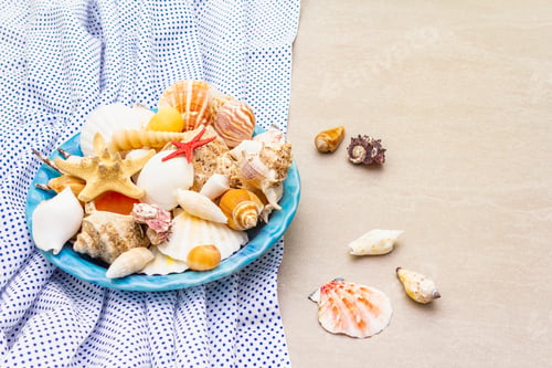 Preview: Seashells Summer Background. Lots Of Different Seashells Piled Together In Blue Plate With Polka