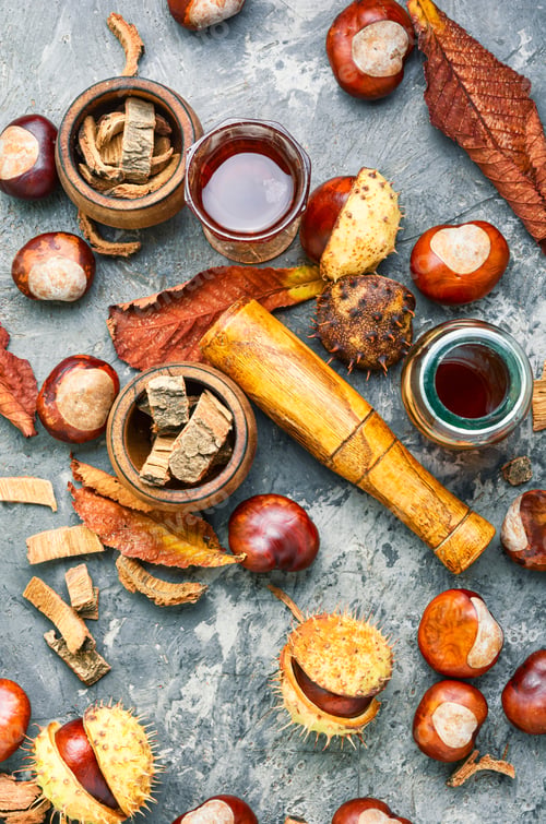 Preview: Chestnut And Its Ingredients In Traditional Medicine.Herbal Medicine.