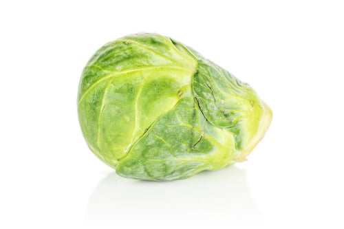 Preview: One Whole Fresh Green Brussels Sprout Isolated On White Background