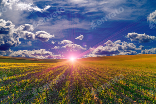 Preview: Green Field And Beautiful Sunset