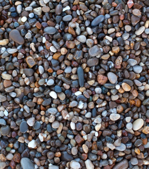 Vorschau: Nasse Strandsteine