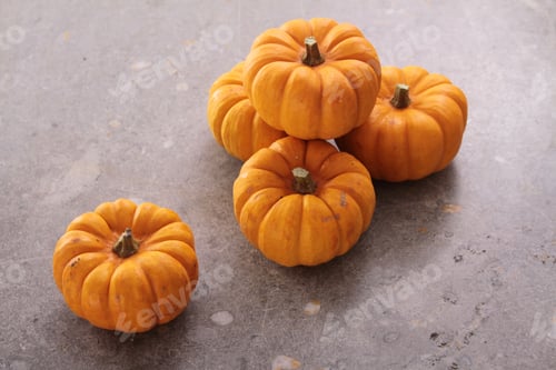 Preview: Pumpkin Selection
