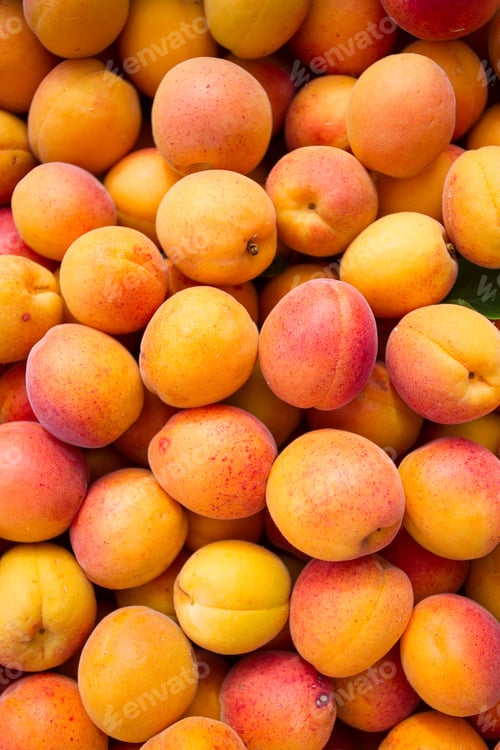 Preview: Ripe Apricots