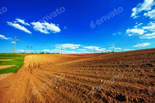 Preview: Green Field And Beautiful Sunset