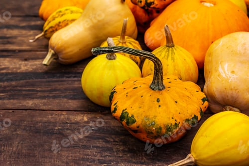 Preview: Harvest Of Various Ripe Pumpkins. Colorful Festive Background, Thanksgiving Or Halloween Day. Old