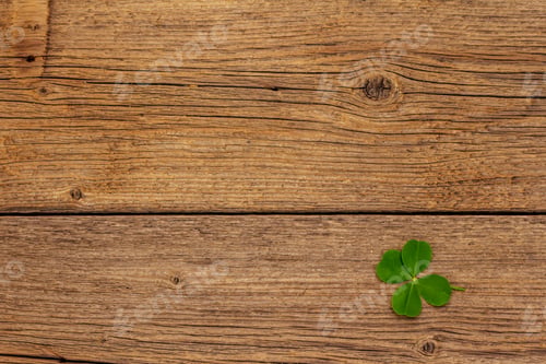 Preview: Four-Leaf Clover, Fresh Plant On Vintage Wooden Boards. Good Luck Symbol, St.Patrick'S Day Concept