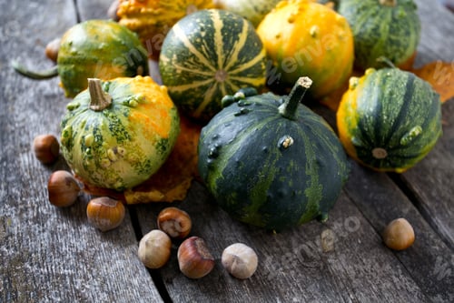 Preview: Colorful Pumpkins