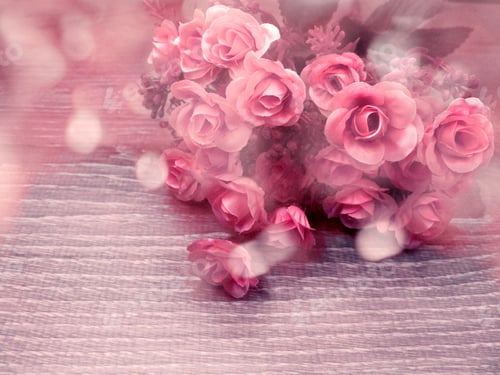 Preview: Rose Flower Background Love Wedding Card With Blurs Lights