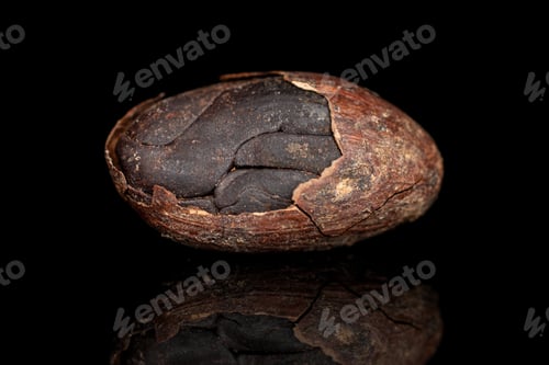 Preview: One Whole Fresh Brown Cocoa Bean Cracked Husk Isolated On Black Glass