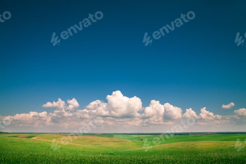 Preview: Green Grass Under Blue Sky