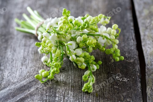 Preview: Lilly Of The Valley On Wooden Surface