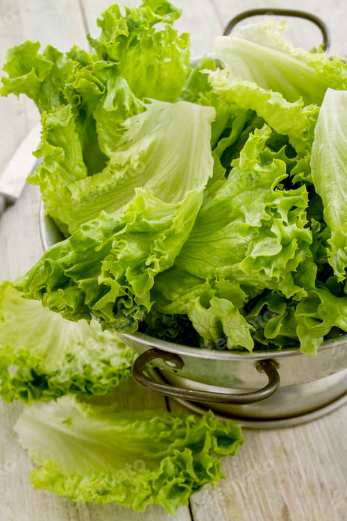 Preview: Fresh Salad Leaves