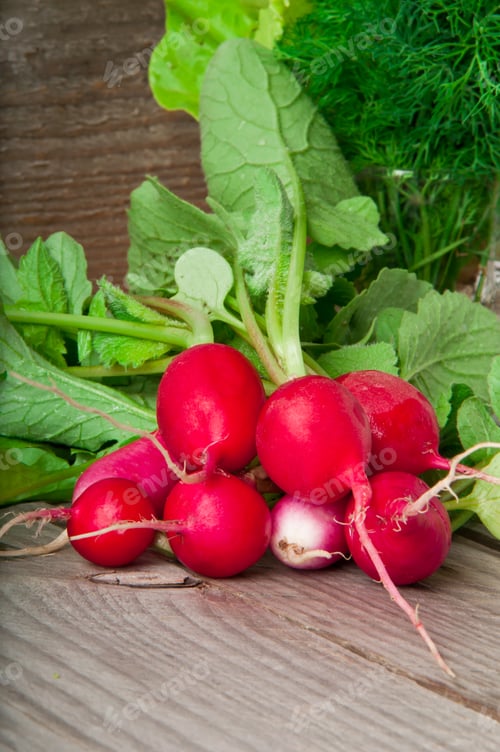 Preview: Small Garden Radish On Old Wooden Background