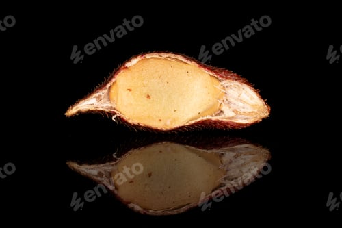 Preview: One Half Of Exotic Brown Salak Isolated On Black Glass