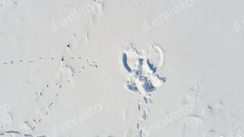Preview: Texture Of Fresh Snow Covering Ground Thickly On Frosty Winter Morning Outside
