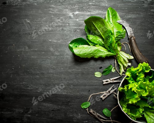 Preview: Fresh Herbs With An Old Knife. On The Black Wooden Table.