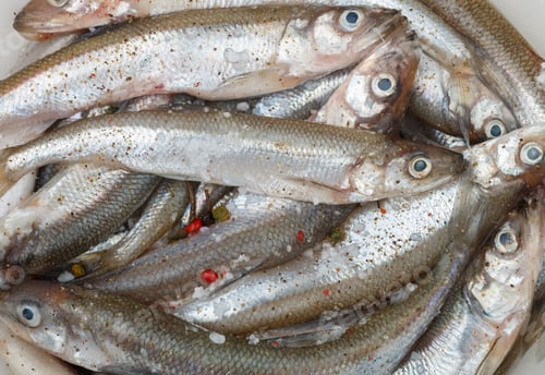 Preview: Fresh Smelt For Frying With Spices. Small Fish. Selective Focus