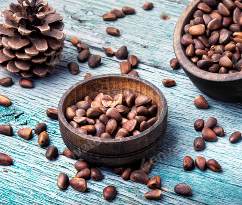 Preview: Cedar Nuts In A Shell In A Wooden Tub