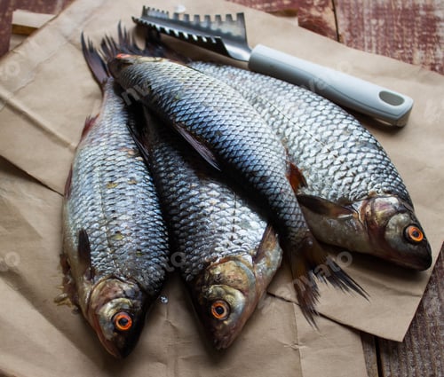 Preview: Fresh Raw Fish And A Knife To Remove The Scales