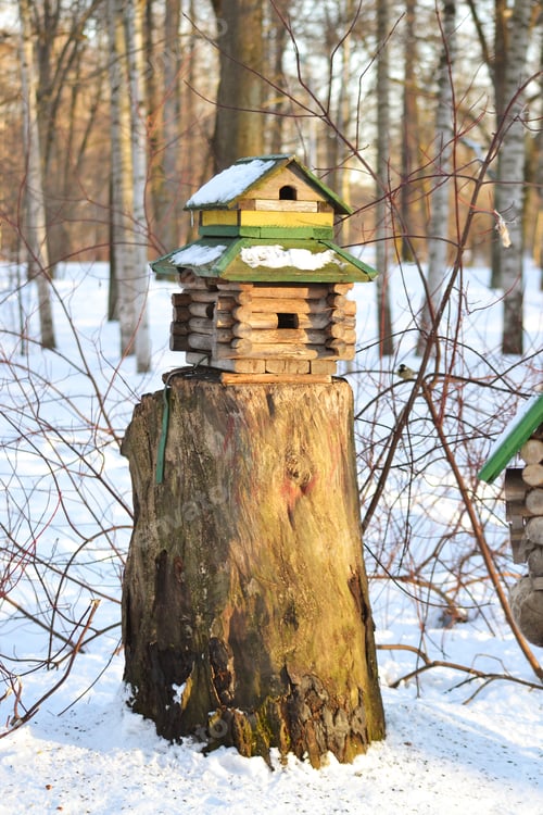 Preview: Bird Table In Winter Park