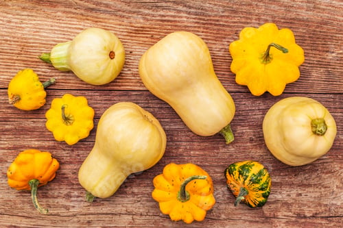 Preview: Autumn Harvest Pumpkins. Set Of Different Types Of Squash. Healthy Food Cooking Background. Old