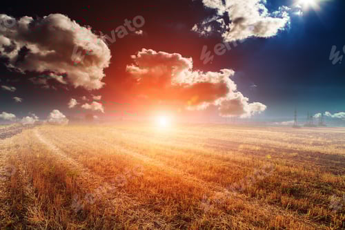 Preview: Green Field And Beautiful Sunset