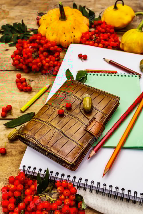 Preview: Back To School Concept. Zero Waste Lifestyle. Album, Colored Pencils, Notebooks, Ripe Pumpkins