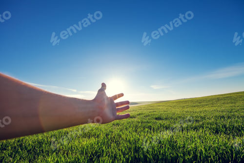 Preview: A Masculine Hand Shows On The Field