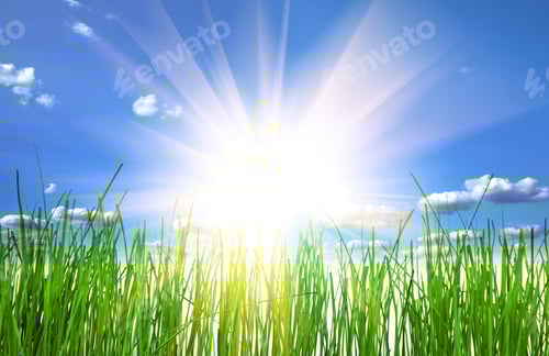 Preview: Green Grass Isolation On The White Backgrounds