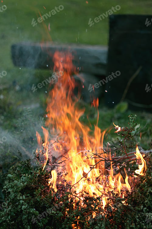 Preview: Flames Of Fire Burning Bush