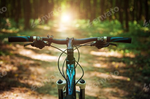 Preview: Mountain Biking Down Hill Descending Fast On Bicycle. View From Bikers Eyes.