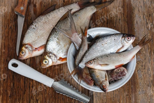 Preview: Freshly Caught River Fish. Selective Focus