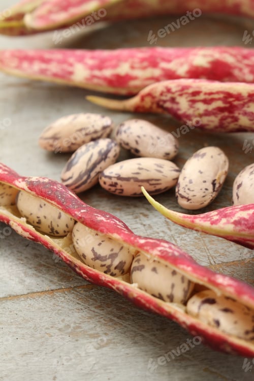 Preview: Fresh Raw Borlotti Beans