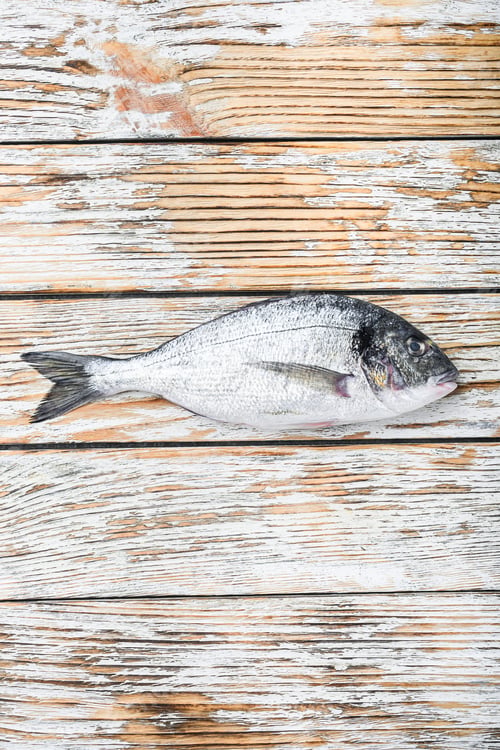 Preview: Raw Dorada Or Gilt Head Bream Fish Over White Wood Table Top View.