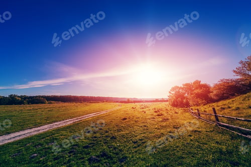 Preview: Foggy Morning Shiny Summer Landscape With Mist And Green Meadow