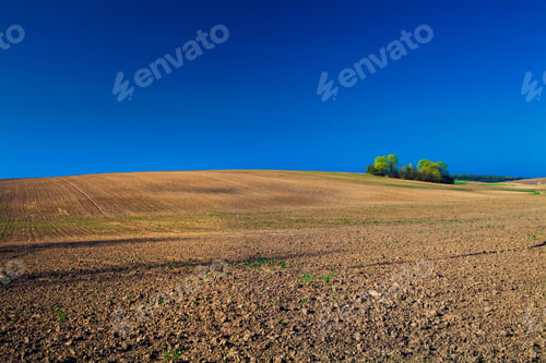 Preview: Plowed Field And Cloudy Sky In Sunset