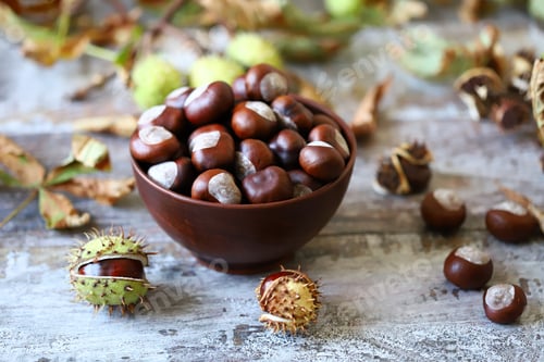 Preview: Chestnuts In A Bowl. Chestnut Leaves. Autumn Composition With Chestnuts.
